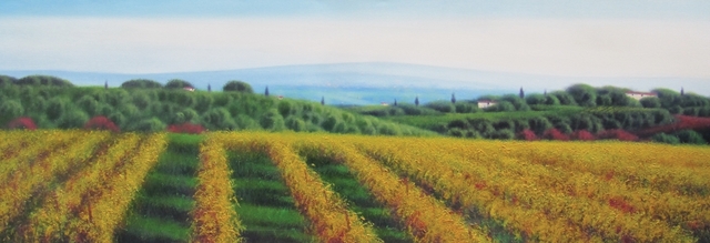 "Vigna gialla" olio su tela cm 40 x 120
